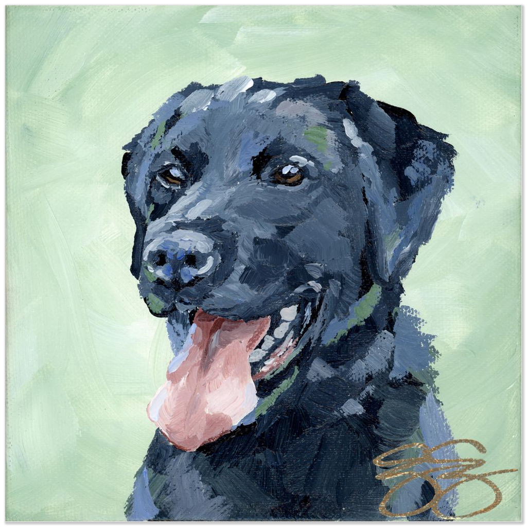 Black Lab, a fine art print on paper