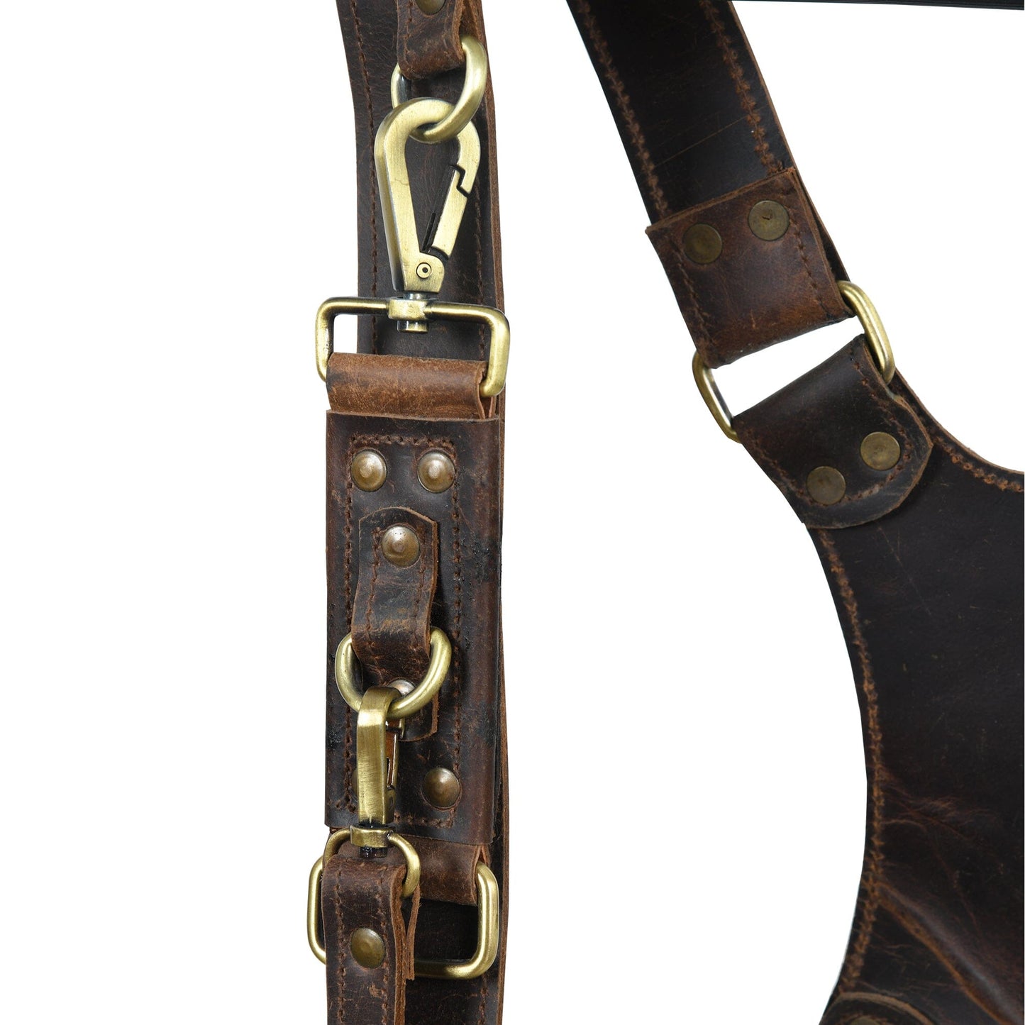 Buffalo Leather Dual Camera Harness