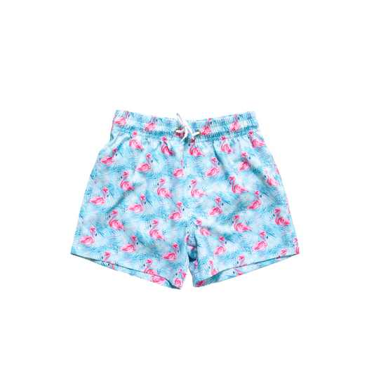 Playa Flamingo Trunks