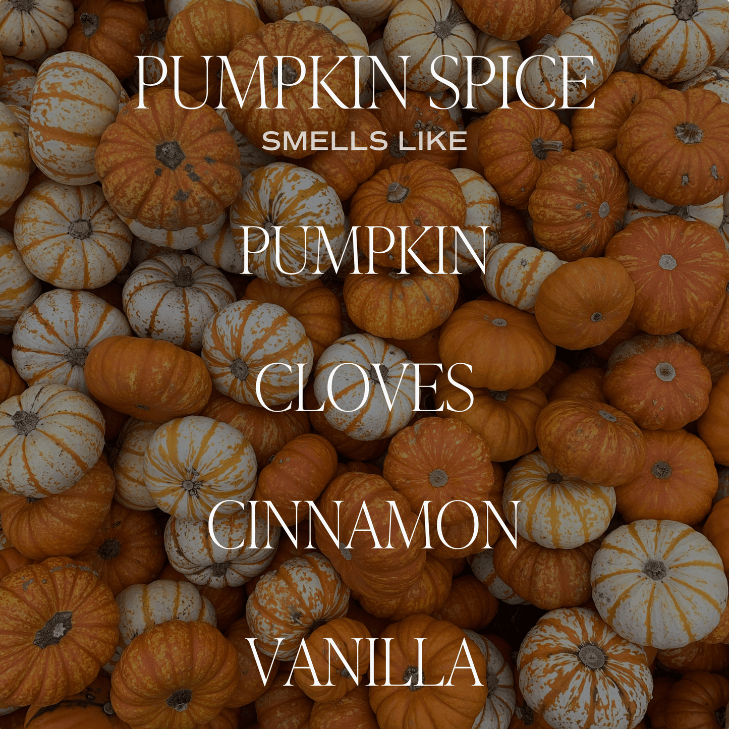 Pumpkin Spice Soy Candle - White Jar - 11 oz