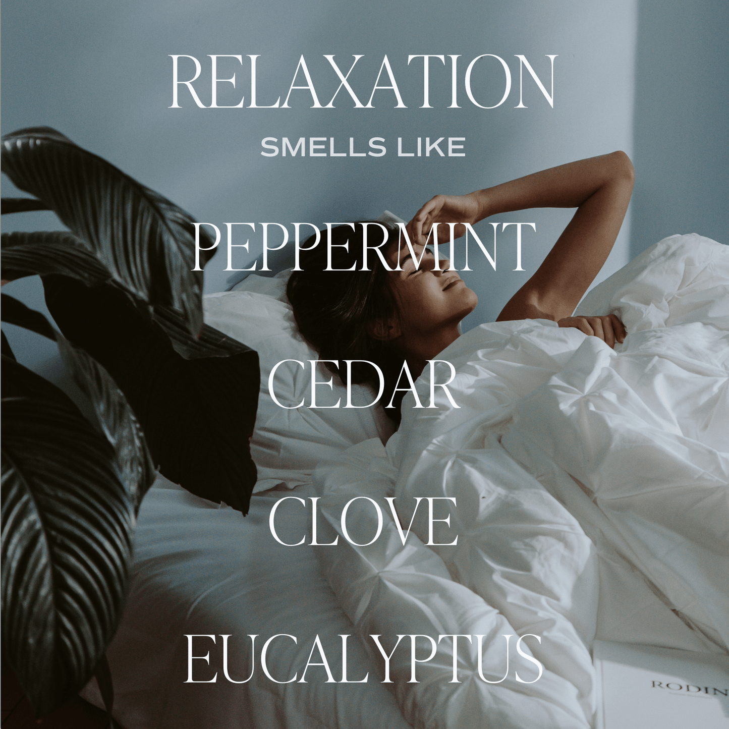 Relaxation Clear Reed Diffuser