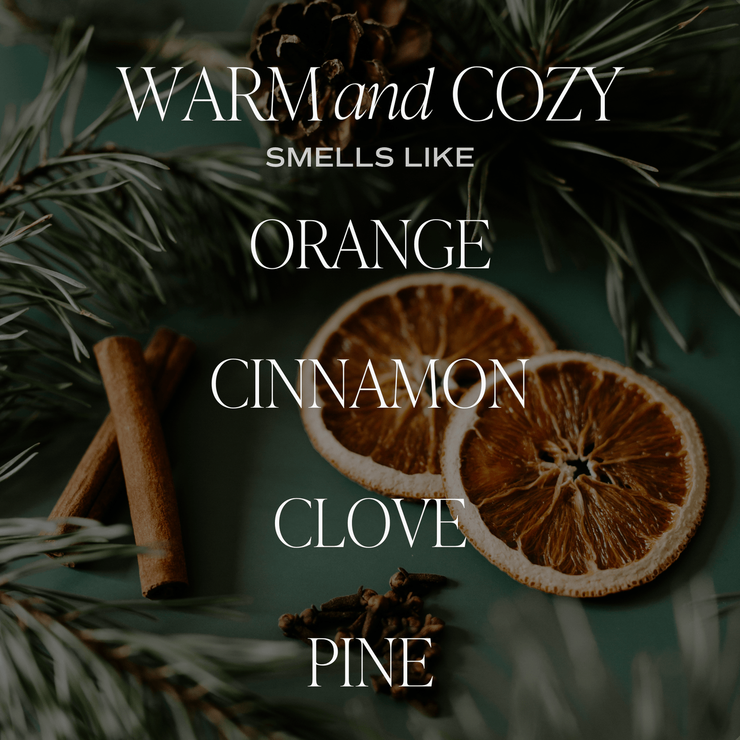 Warm and Cozy Clear Reed Diffuser