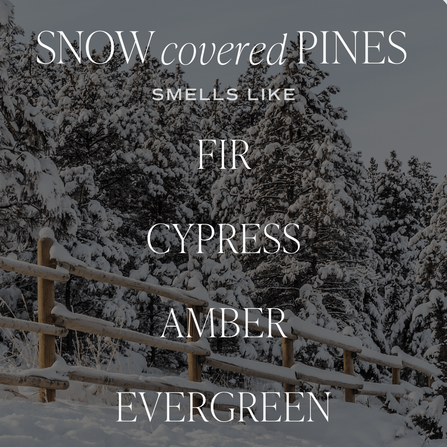 Snow Covered Pines Soy Candle - Green Matte Jar - 15 oz (Fraser Fir)