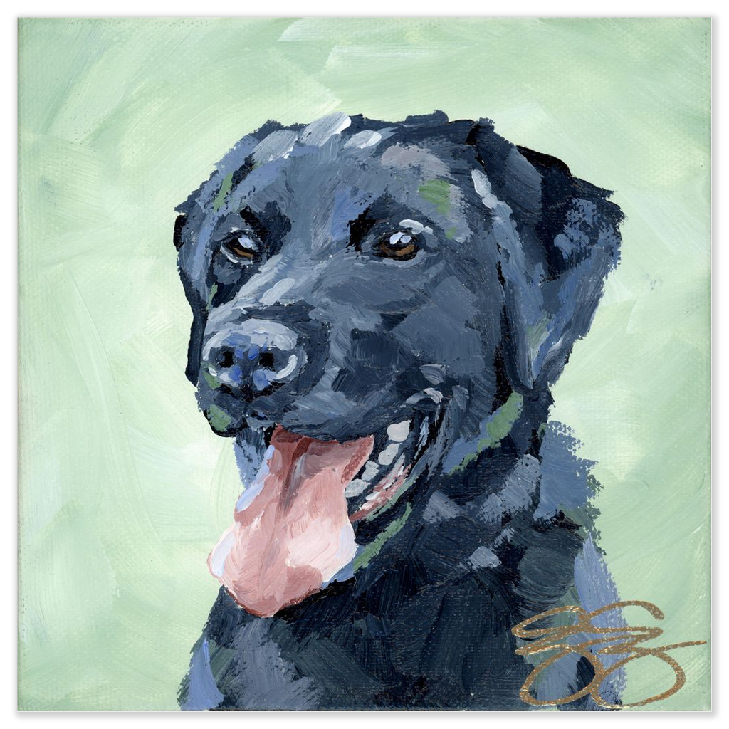 Black Lab, a fine art print on paper