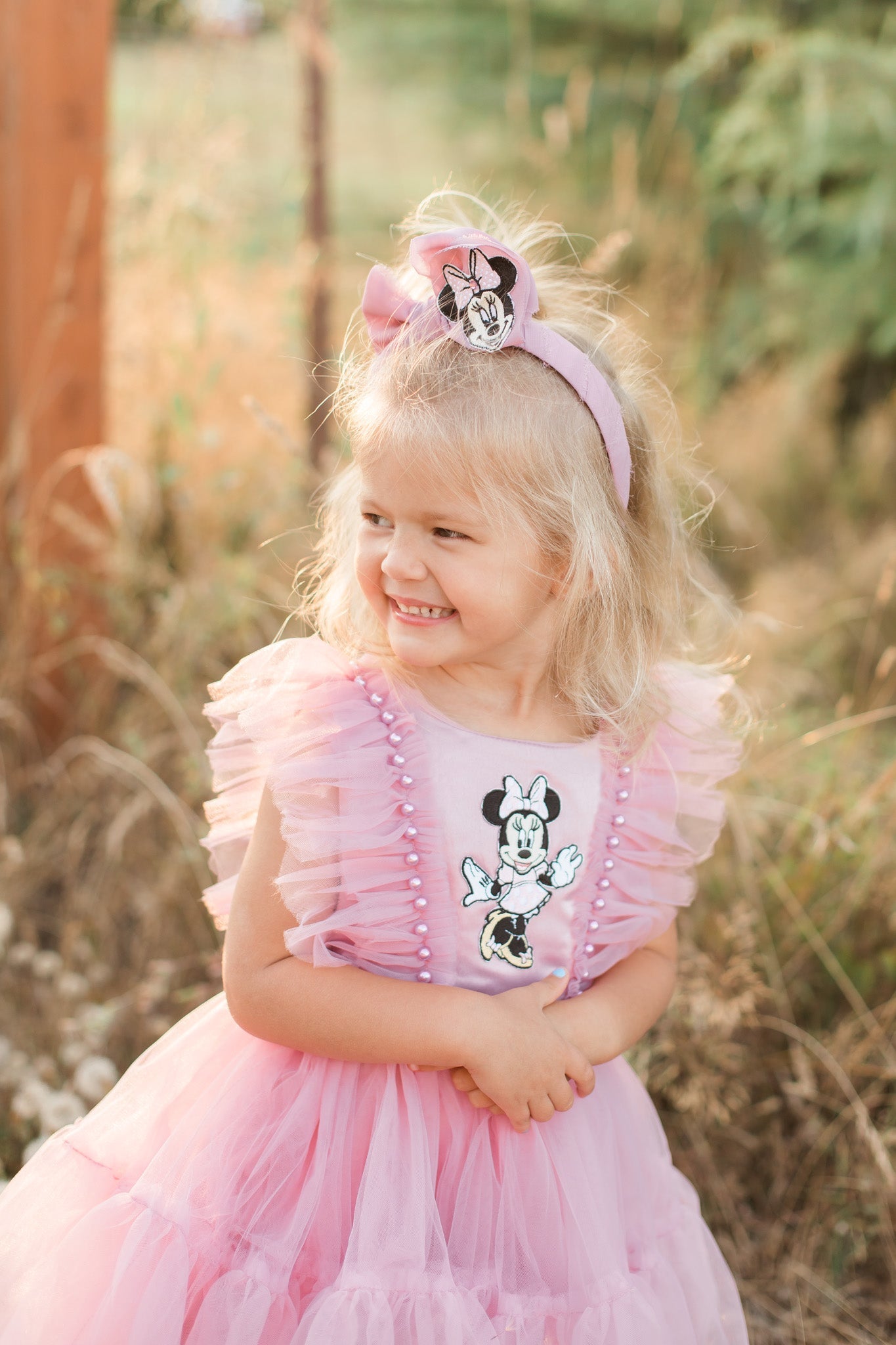 Minnie Mouse Mauve Dress