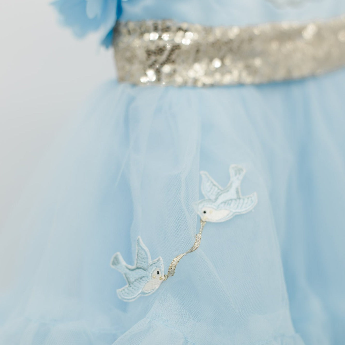 Cinderella Dress