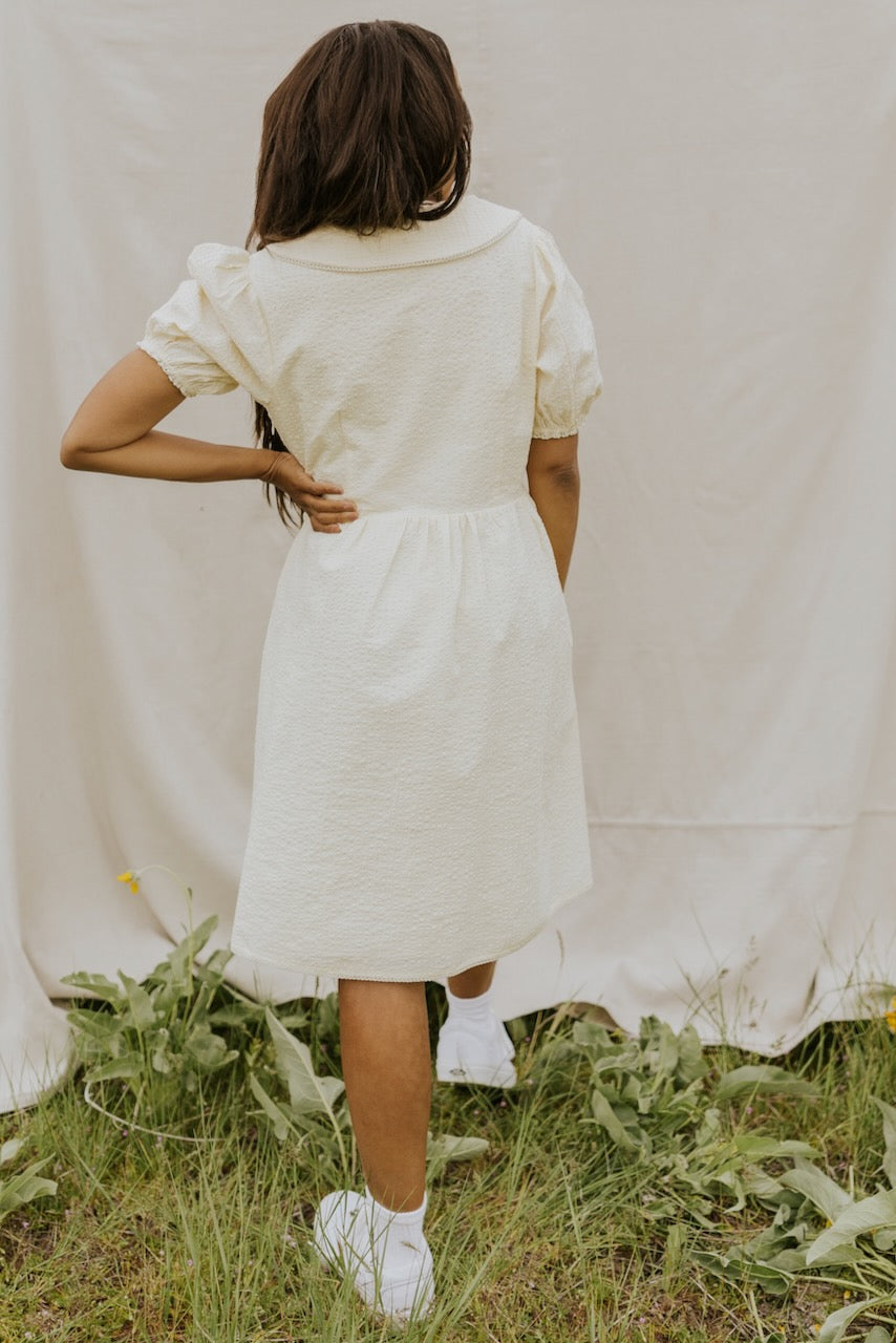 SALT Almaden Textured Puff Sleeve Dress