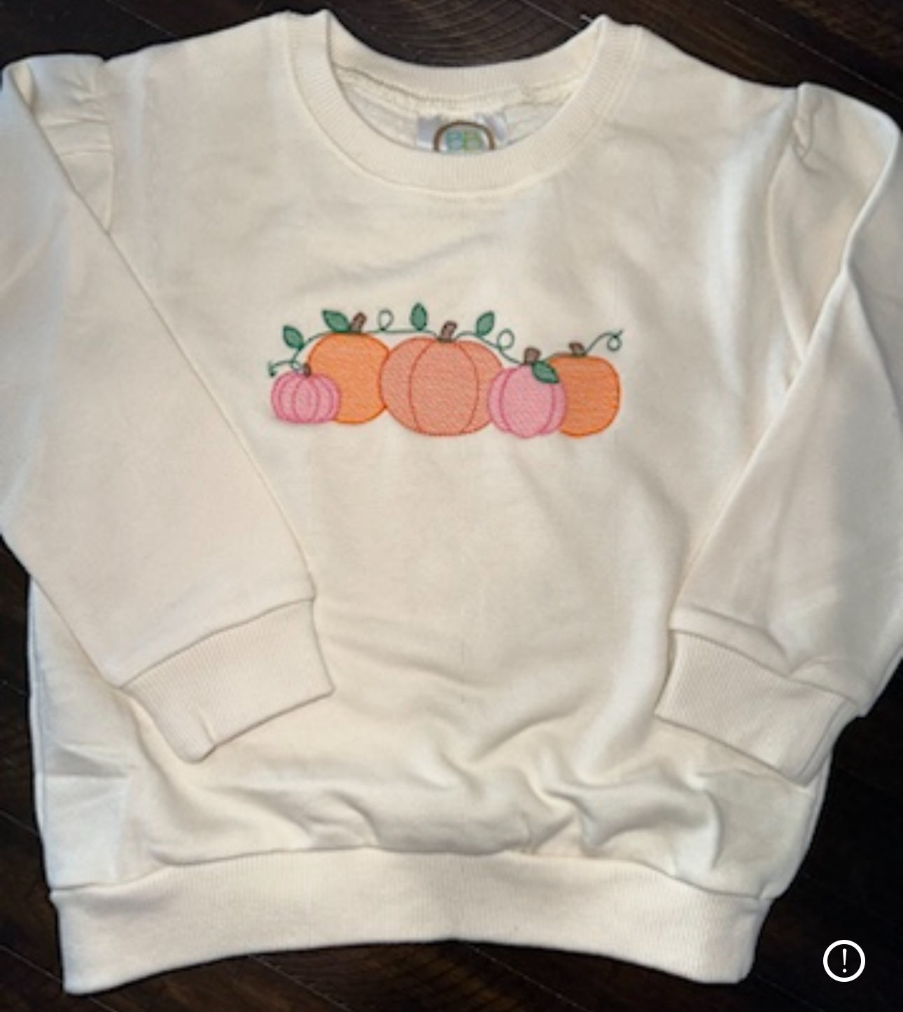 Ivory Pink Pumpkin Vines Crewneck Bubble