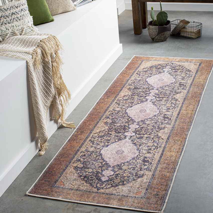 Olterterp Traditional Clay Washable Area Rug