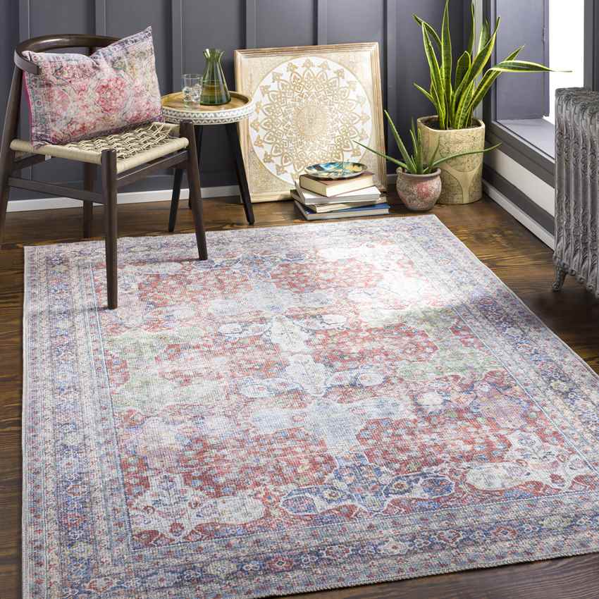 North Riverside Traditional Blush Washable Area Rug