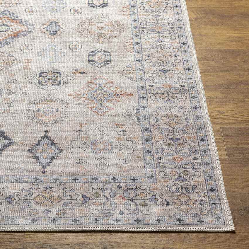 North Utica Traditional Beige Washable Area Rug