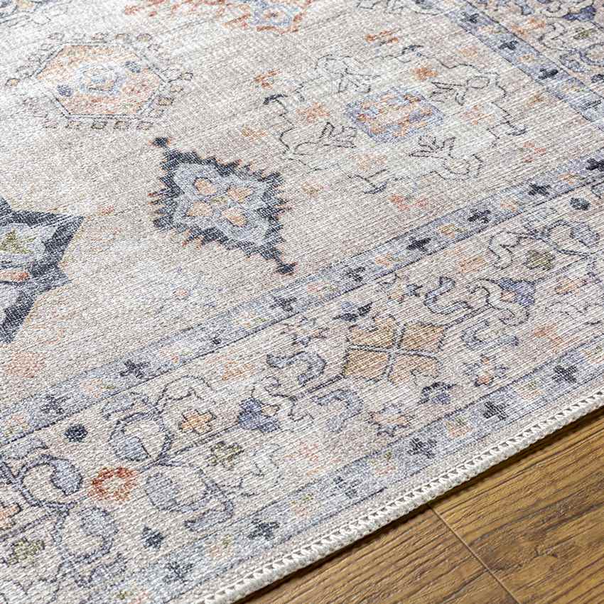 North Utica Traditional Beige Washable Area Rug