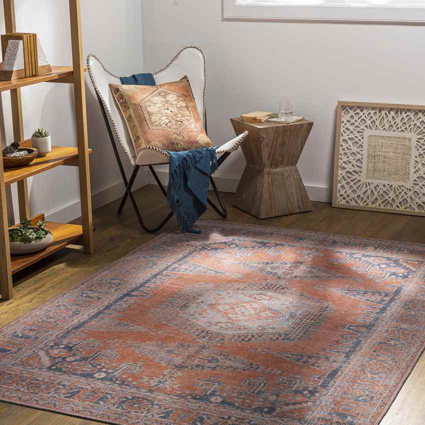 Mackey Traditional Burnt Orange Washable Area Rug