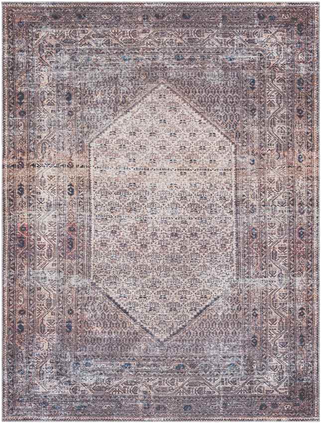 Hayri Traditional Plum Washable Area Rug