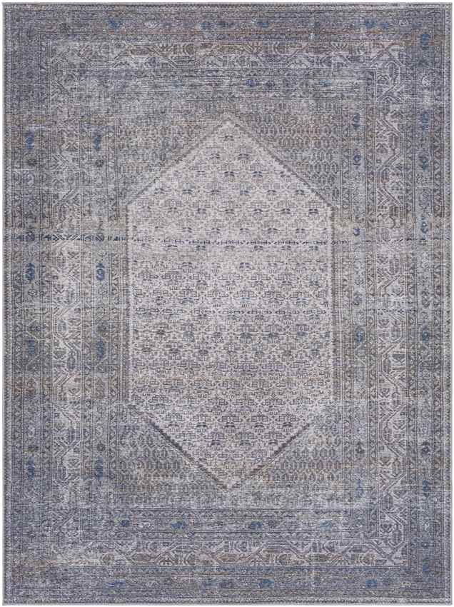 Hayri Traditional Medium Gray Washable Area Rug