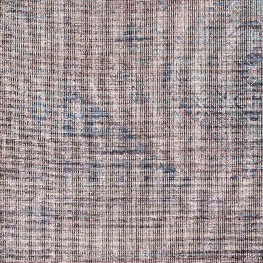 Michiana Shores Traditional Pale Blue Washable Area Rug