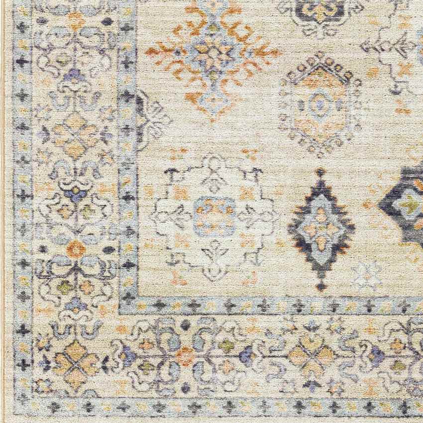 Park Forest Traditional Beige Washable Area Rug