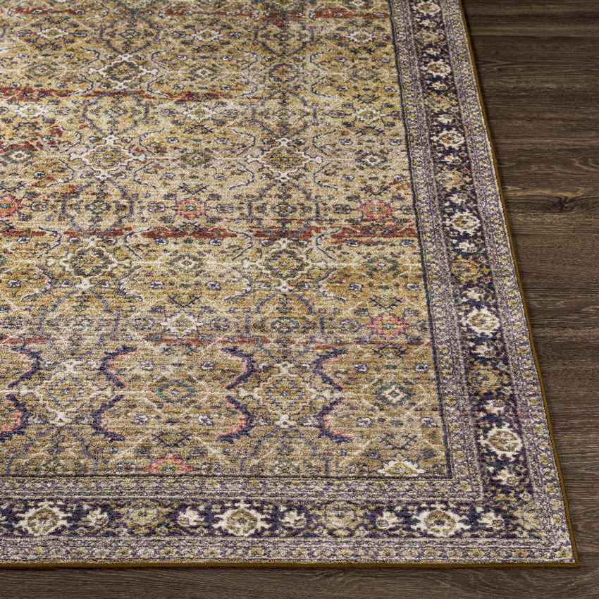 Paw Paw Traditional Tan Washable Area Rug