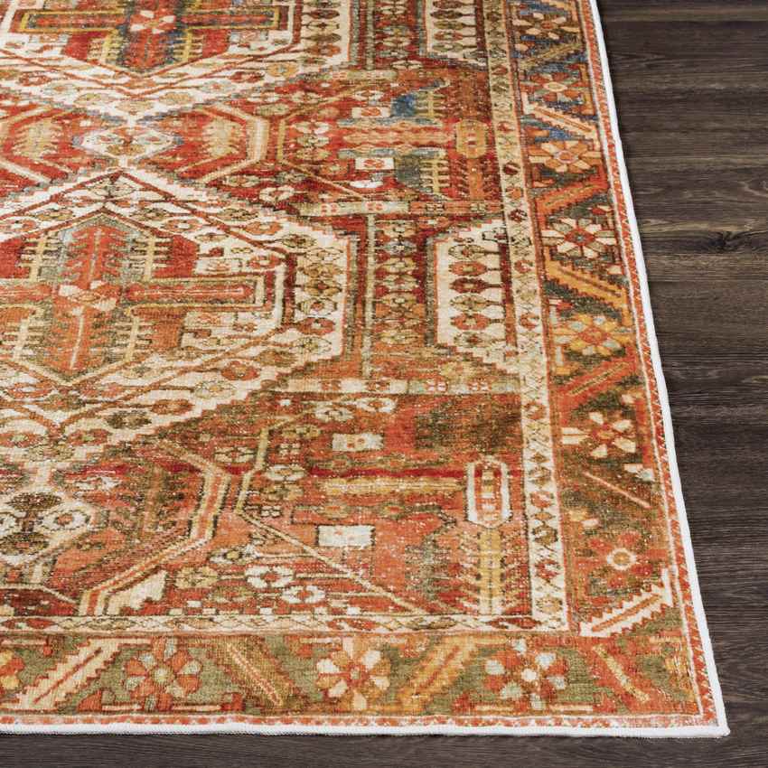 St David Global Burnt Orange Washable Area Rug