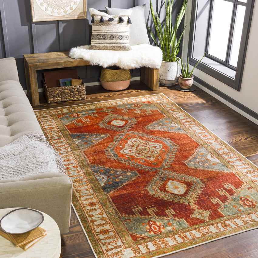 St Elmo Global Bright Orange Washable Area Rug