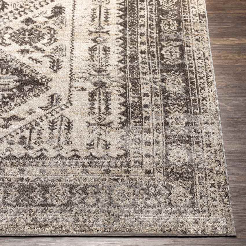 Salamonia Traditional Medium Gray Washable Area Rug