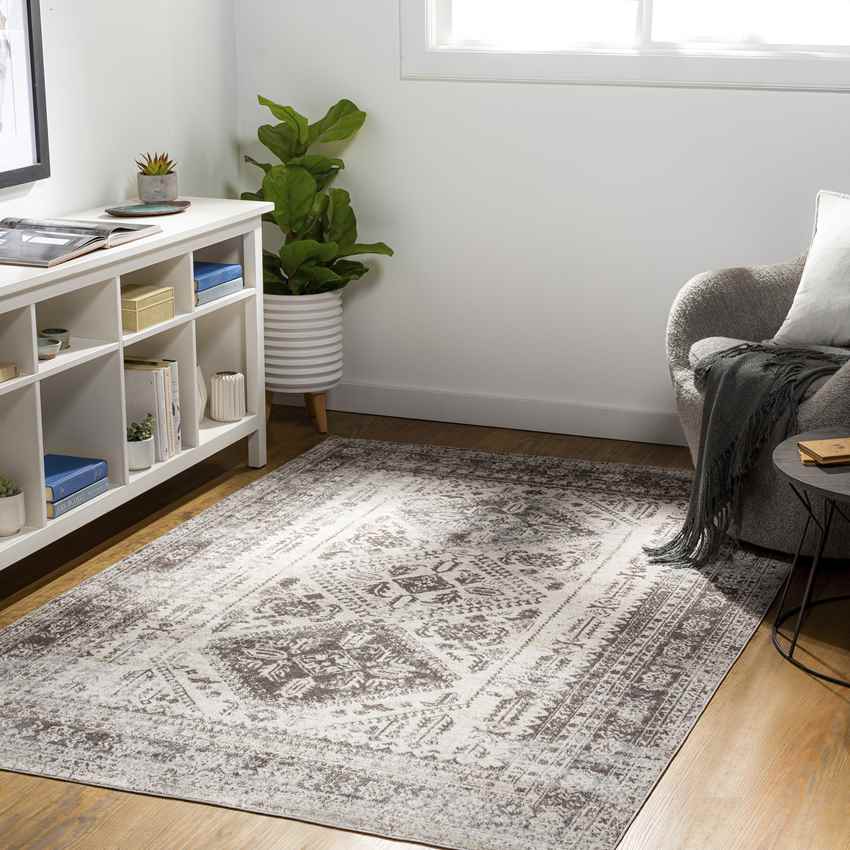 Salamonia Traditional Medium Gray Washable Area Rug