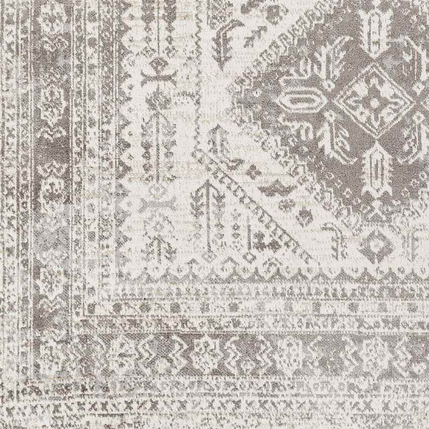 Salamonia Traditional Medium Gray Washable Area Rug