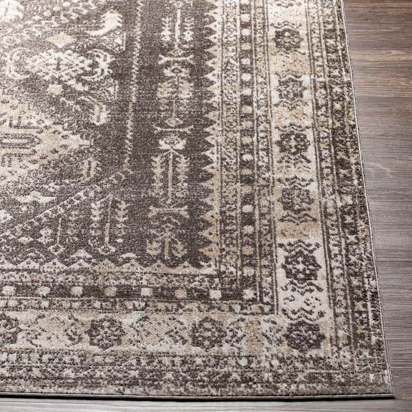 Salamonia Traditional Dark Brown Washable Area Rug