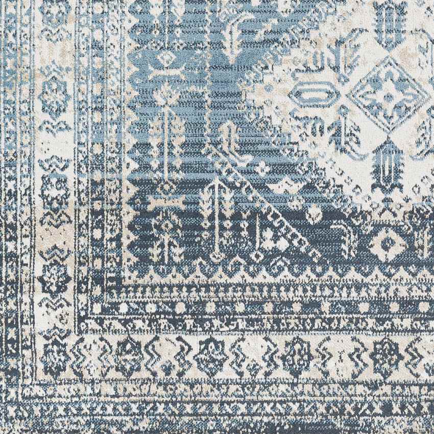 Salamonia Traditional Navy Washable Area Rug