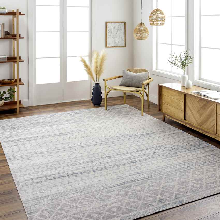 West Terre Haute Global Medium Gray Washable Area Rug