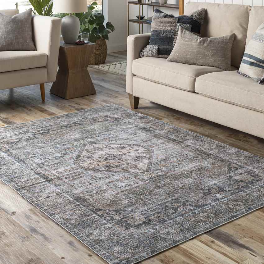 Washta Traditional Moss Washable Area Rug