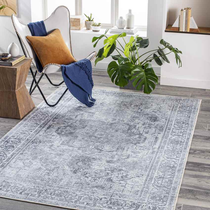 Whitten Traditional Light Gray Washable Area Rug