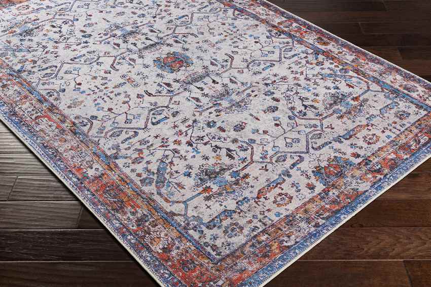 Winterset Traditional Light Gray Washable Area Rug