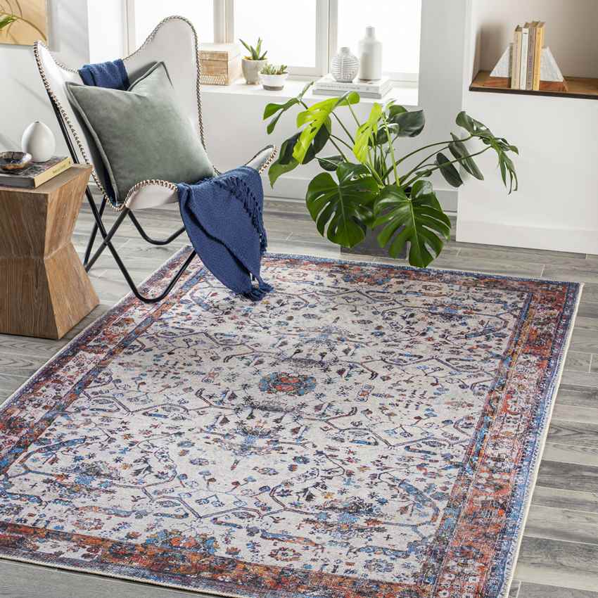 Winterset Traditional Light Gray Washable Area Rug