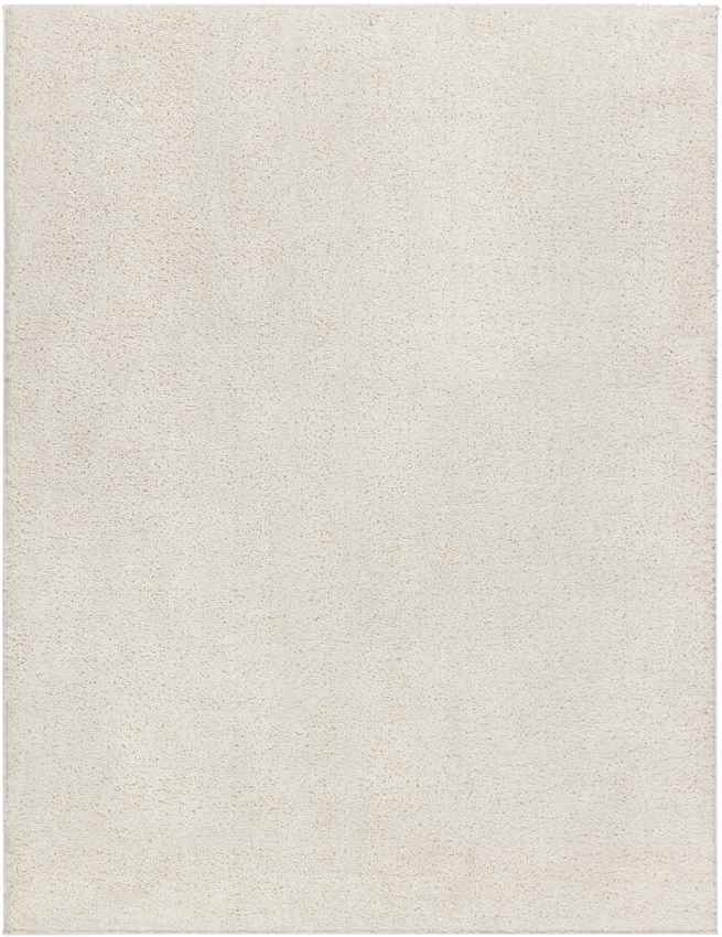 Richlawn Modern Light Beige Washable Area Rug