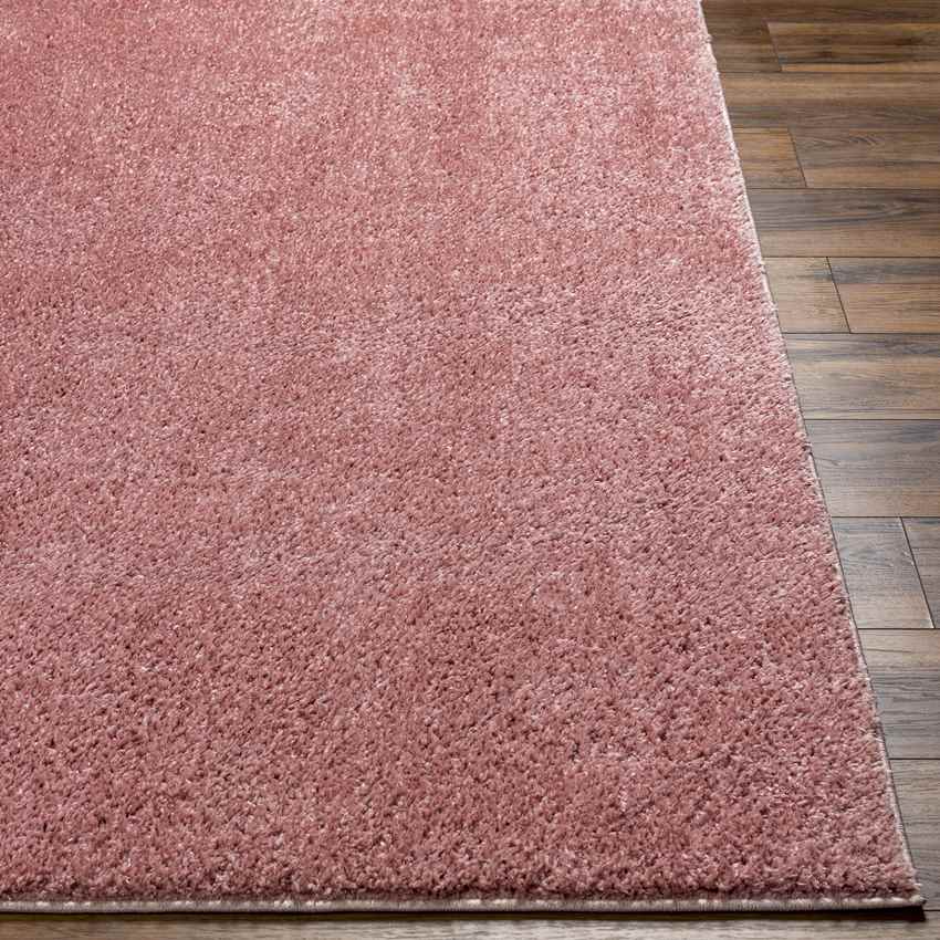 Richlawn Modern Coral Pink Washable Area Rug