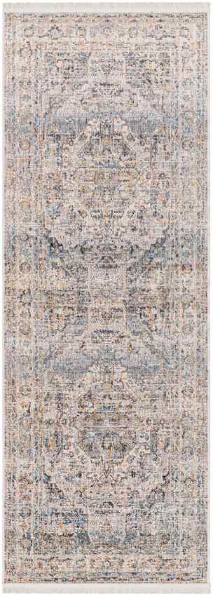 Bellewood Traditional Medium Gray Area Rug