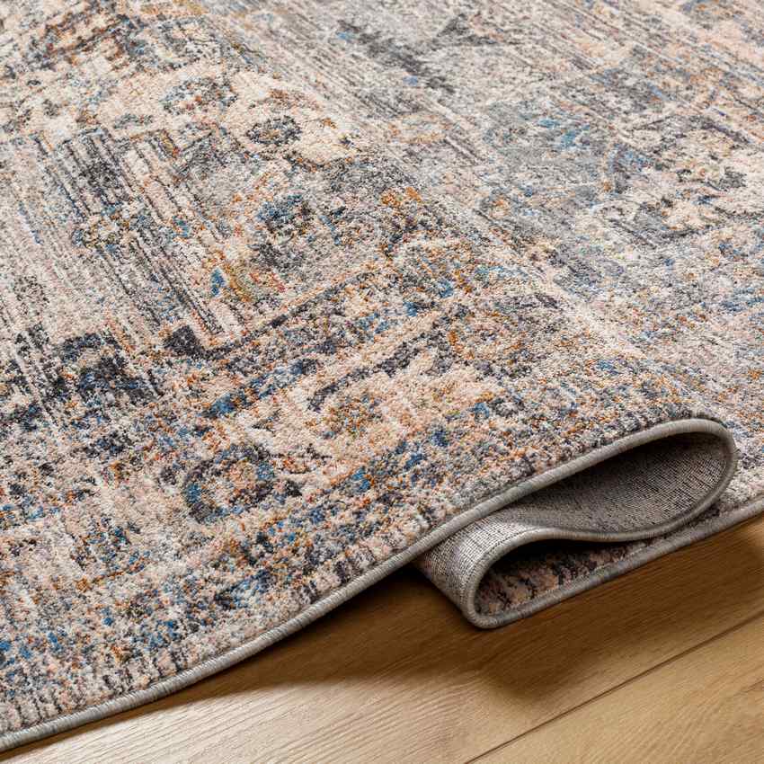 Bellewood Traditional Medium Gray Area Rug