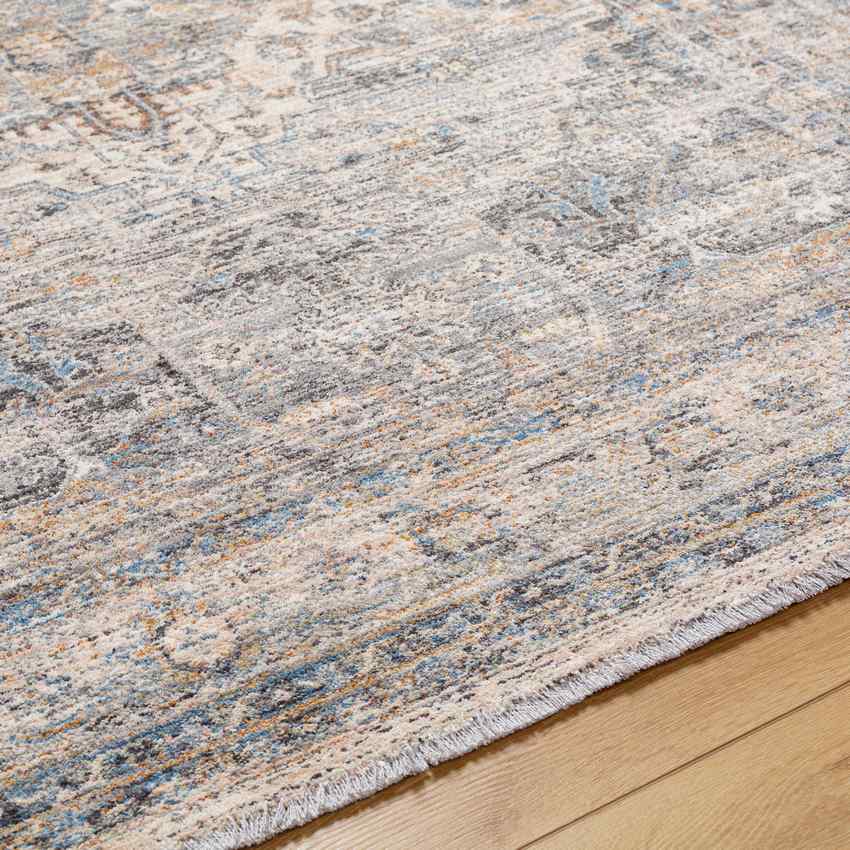 Bellewood Traditional Medium Gray Area Rug