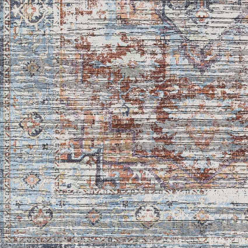 Varina Traditional Teal Washable Area Rug