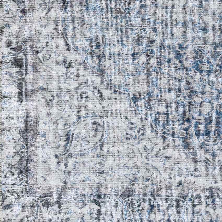 Waterville Traditional Blue Washable Area Rug