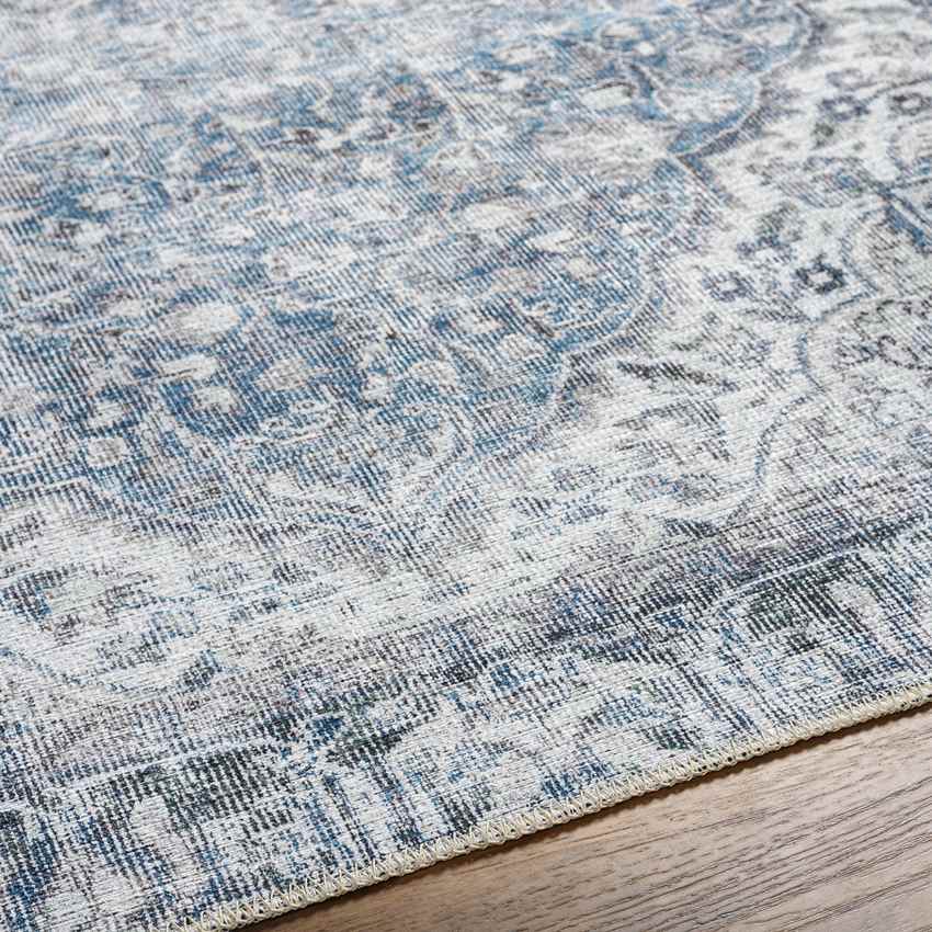 Waterville Traditional Blue Washable Area Rug