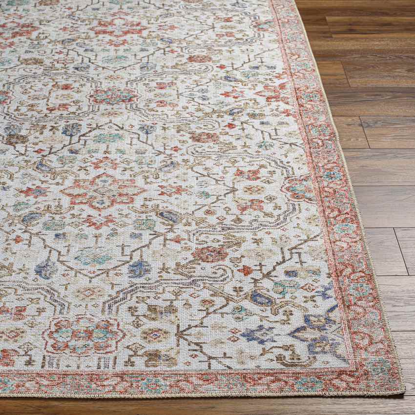 Waubonsie Traditional Rust Washable Area Rug