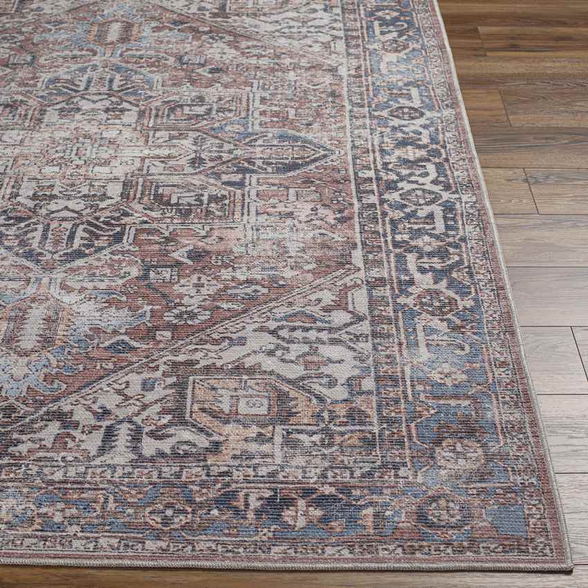 Liebenthal Traditional Rust Washable Area Rug