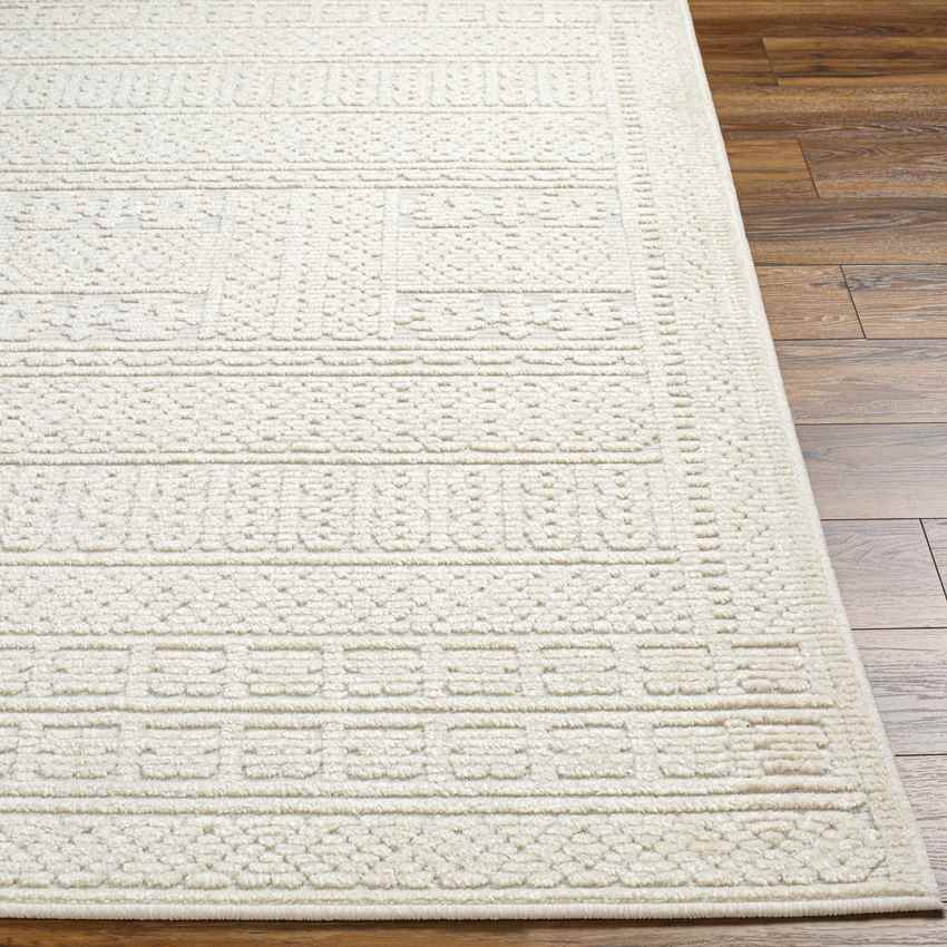 Brunsville Cottage White Washable Area Rug