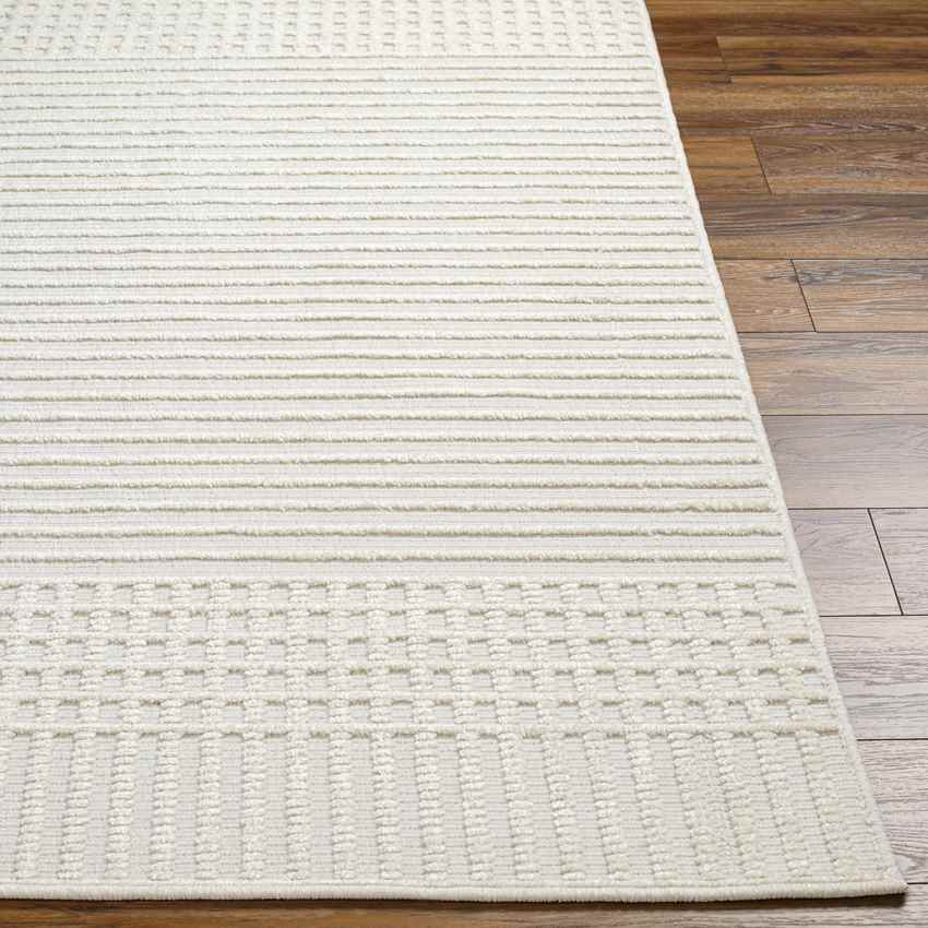 Burkesville Modern Ivory Washable Area Rug