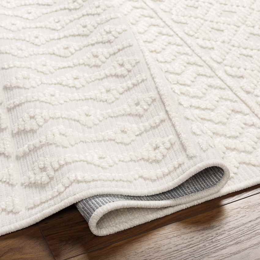 Carrsville Cottage Light Gray Washable Area Rug