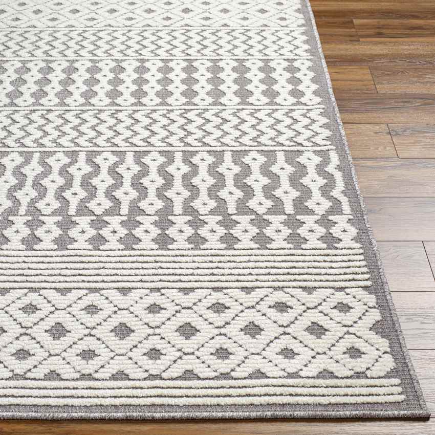 Carrsville Cottage Gray Washable Area Rug