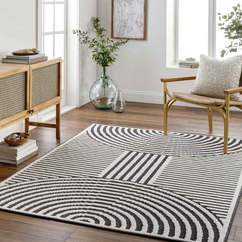 Carter Lake Modern Black Washable Area Rug