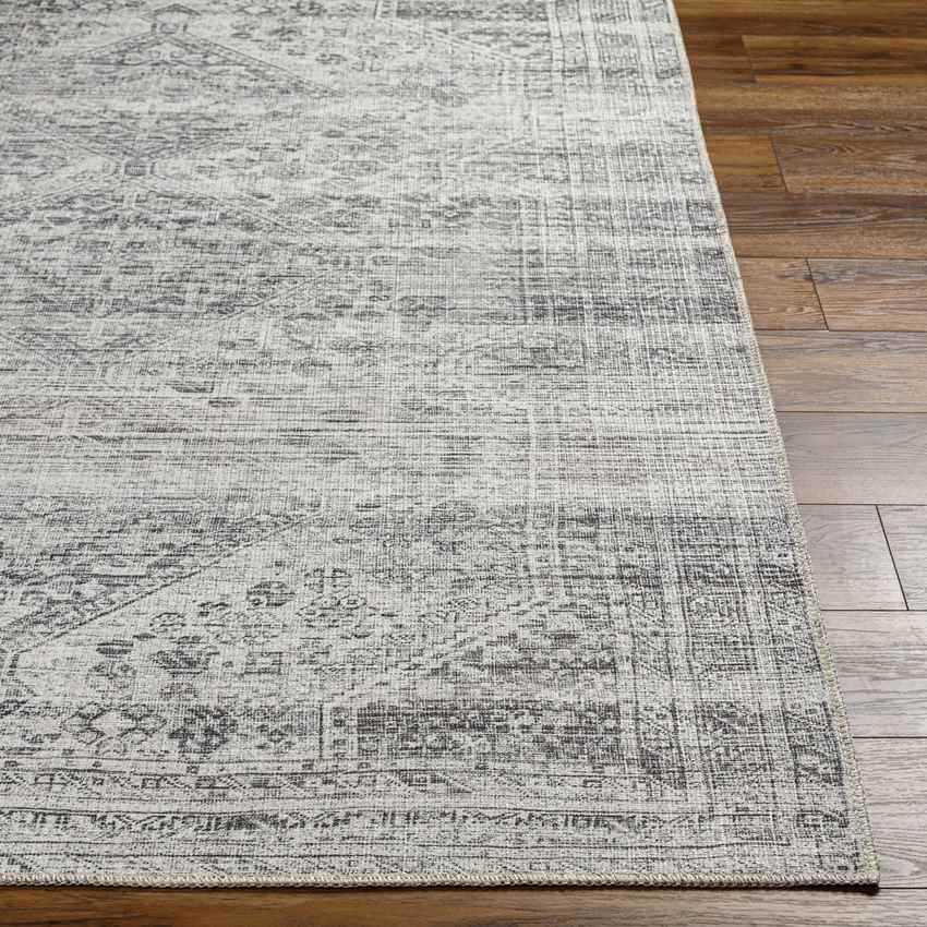 Tonganoxie Traditional Light Gray Washable Area Rug